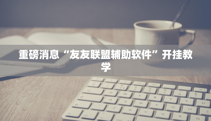 重磅消息“友友联盟辅助软件”开挂教学