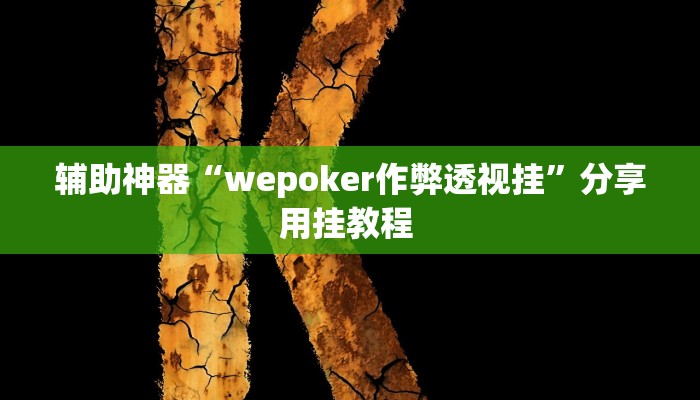 辅助神器“wepoker作弊透视挂”分享用挂教程 
