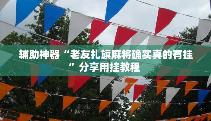 辅助神器“老友扎旗麻将确实真的有挂”分享用挂教程 辅助神器“老友扎旗麻将确实真的有挂”分享用挂教程