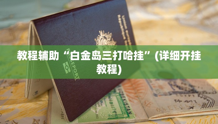 教程辅助“白金岛三打哈挂”(详细开挂教程)