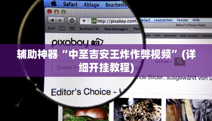 辅助神器“中至吉安王炸作弊视频”(详细开挂教程)