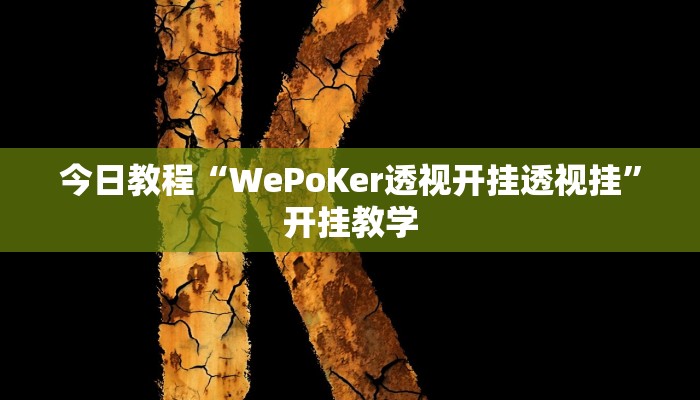 今日教程“WePoKer透视开挂透视挂”开挂教学