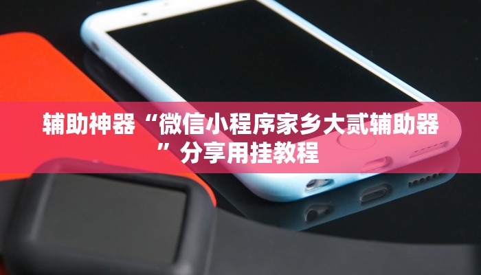 辅助神器“微信小程序家乡大贰辅助器”分享用挂教程 
