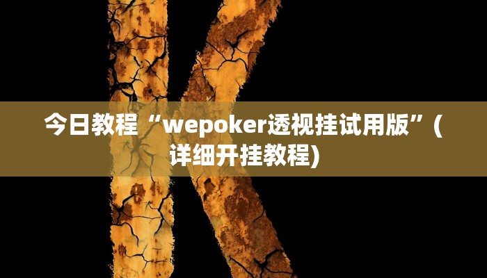 今日教程“wepoker透视挂试用版”(详细开挂教程)