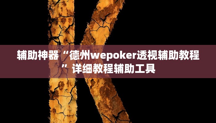辅助神器“德州wepoker透视辅助教程”详细教程辅助工具