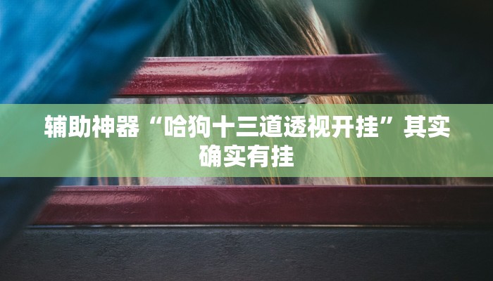 辅助神器“哈狗十三道透视开挂”其实确实有挂