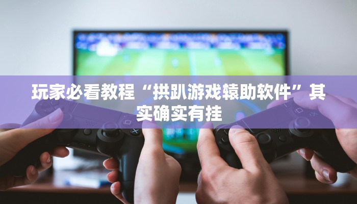 玩家必看教程“拱趴游戏辕助软件”其实确实有挂 玩家必看教程“拱趴游戏辕助软件”其实确实有挂