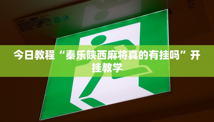 今日教程“秦乐陕西麻将真的有挂吗”开挂教学