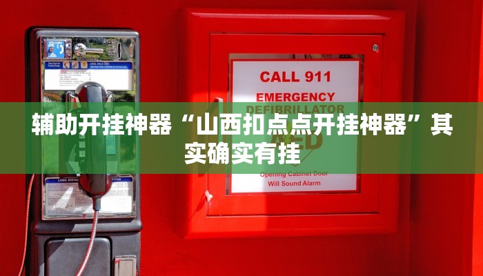 辅助开挂神器“山西扣点点开挂神器”其实确实有挂
