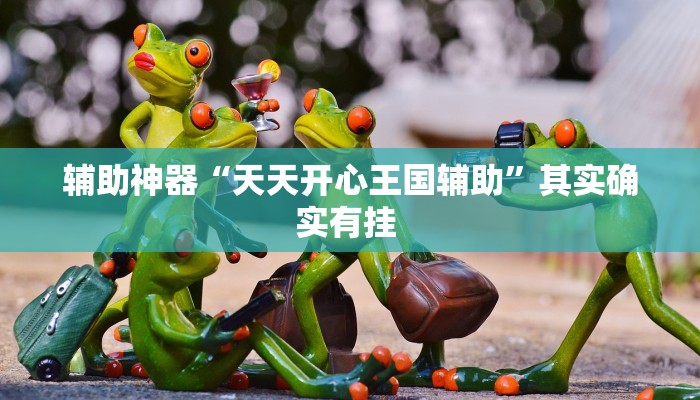 辅助神器“天天开心王国辅助”其实确实有挂 