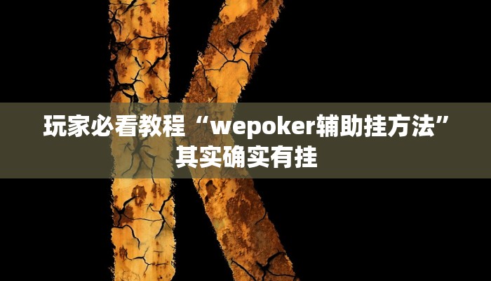 玩家必看教程“wepoker辅助挂方法”其实确实有挂