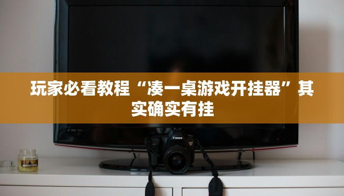 玩家必看教程“凑一桌游戏开挂器”其实确实有挂