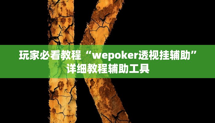 玩家必看教程“wepoker透视挂辅助”详细教程辅助工具