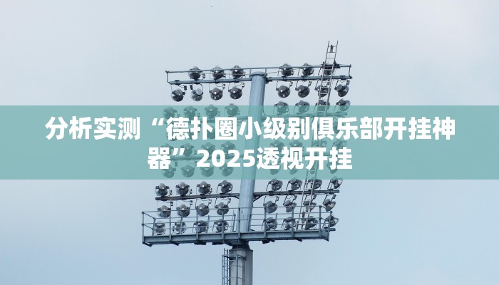 分析实测“德扑圈小级别俱乐部开挂神器”2025透视开挂 分析实测“德扑圈小级别俱乐部开挂神器”2025透视开挂