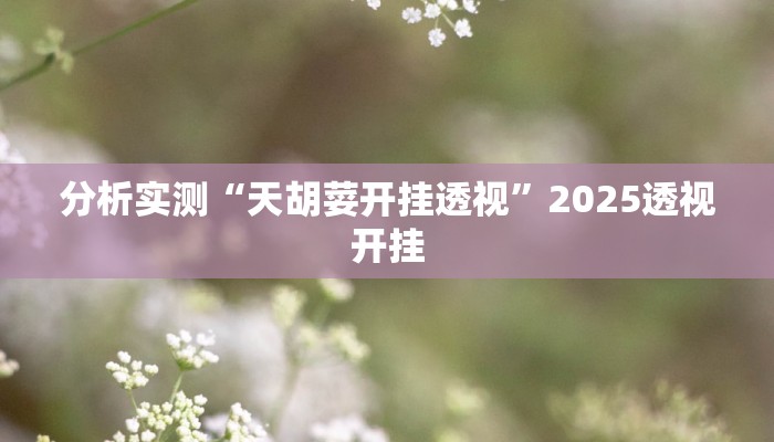 分析实测“天胡荽开挂透视”2025透视开挂