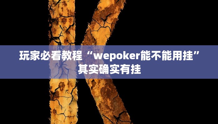 玩家必看教程“wepoker能不能用挂”其实确实有挂