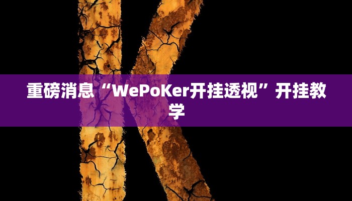 重磅消息“WePoKer开挂透视”开挂教学 重磅消息“WePoKer开挂透视”开挂教学