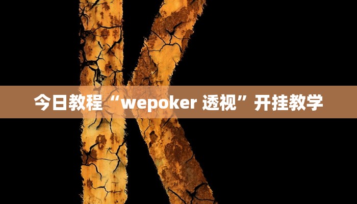 今日教程“wepoker 透视”开挂教学