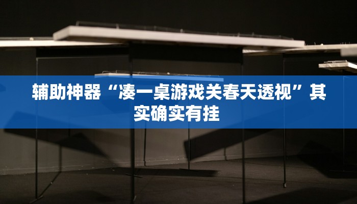 辅助神器“凑一桌游戏关春天透视”其实确实有挂 