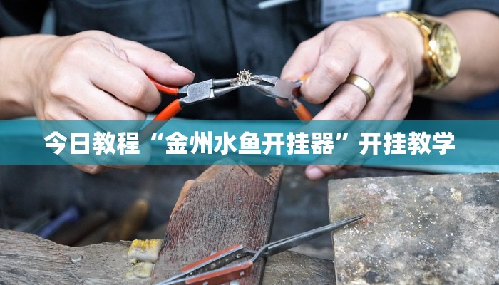 今日教程“金州水鱼开挂器”开挂教学