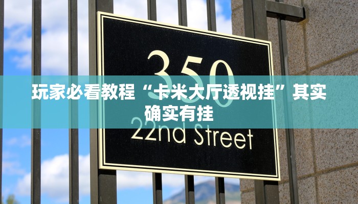 玩家必看教程“卡米大厅透视挂”其实确实有挂 玩家必看教程“卡米大厅透视挂”其实确实有挂