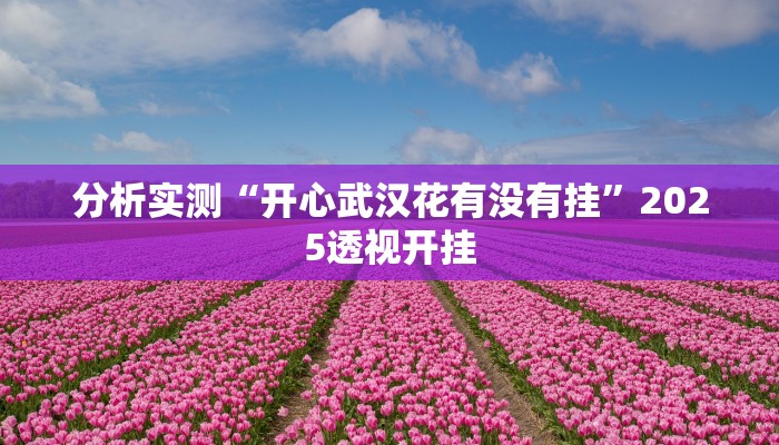分析实测“开心武汉花有没有挂”2025透视开挂 分析实测“开心武汉花有没有挂”2025透视开挂