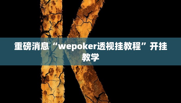 重磅消息“wepoker透视挂教程”开挂教学