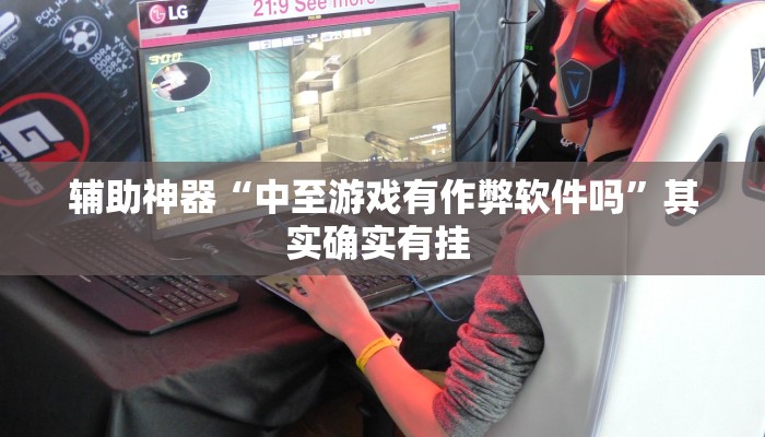 辅助神器“中至游戏有作弊软件吗”其实确实有挂 辅助神器“中至游戏有作弊软件吗”其实确实有挂