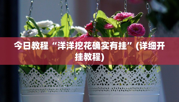 今日教程“洋洋挖花确实有挂”(详细开挂教程)