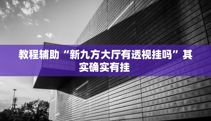 教程辅助“新九方大厅有透视挂吗”其实确实有挂 