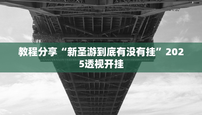 教程分享“新圣游到底有没有挂”2025透视开挂