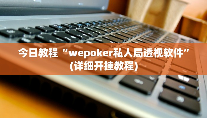 今日教程“wepoker私人局透视软件”(详细开挂教程)