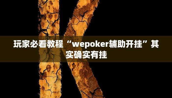 玩家必看教程“wepoker辅助开挂”其实确实有挂