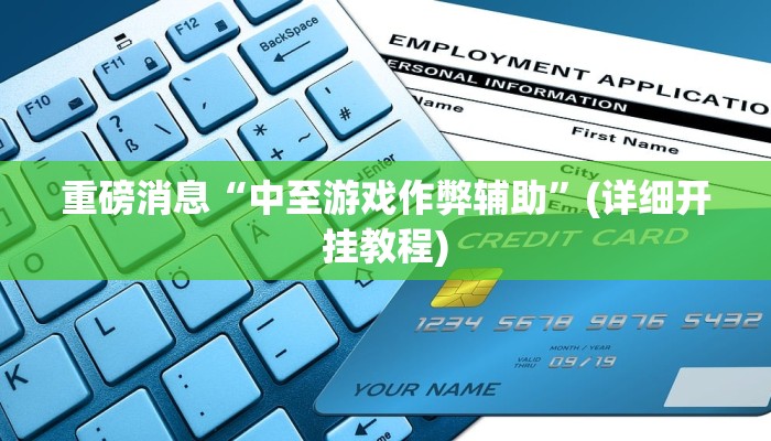 重磅消息“中至游戏作弊辅助”(详细开挂教程)