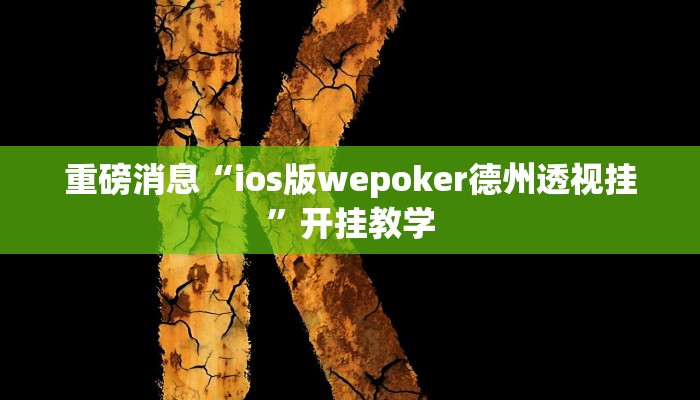重磅消息“ios版wepoker德州透视挂”开挂教学