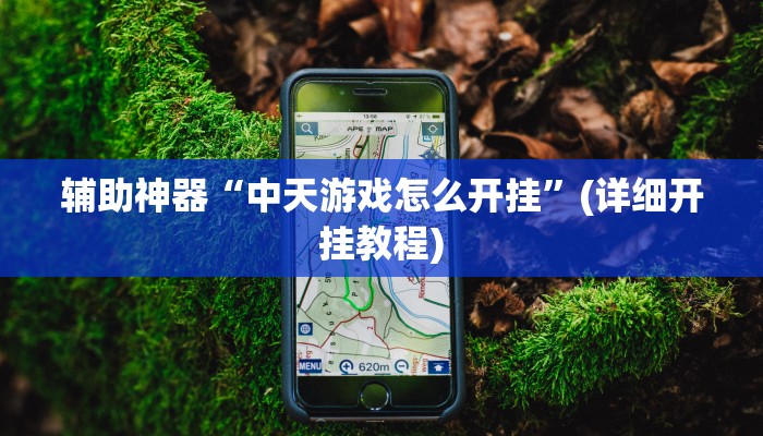 辅助神器“中天游戏怎么开挂”(详细开挂教程) 辅助神器“中天游戏怎么开挂”(详细开挂教程)