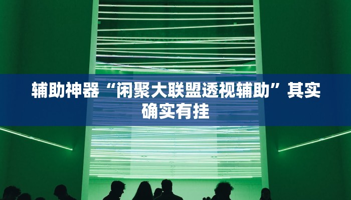 辅助神器“闲聚大联盟透视辅助”其实确实有挂