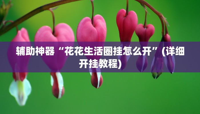 辅助神器“花花生活圈挂怎么开”(详细开挂教程)