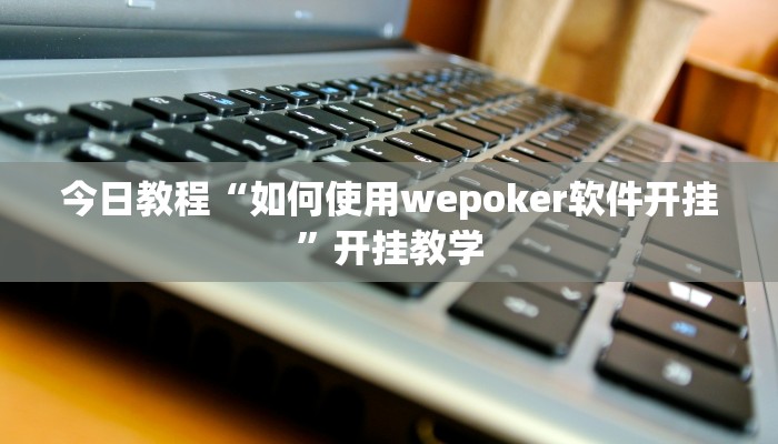 今日教程“如何使用wepoker软件开挂”开挂教学