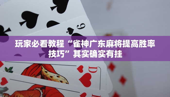 玩家必看教程“雀神广东麻将提高胜率技巧”其实确实有挂