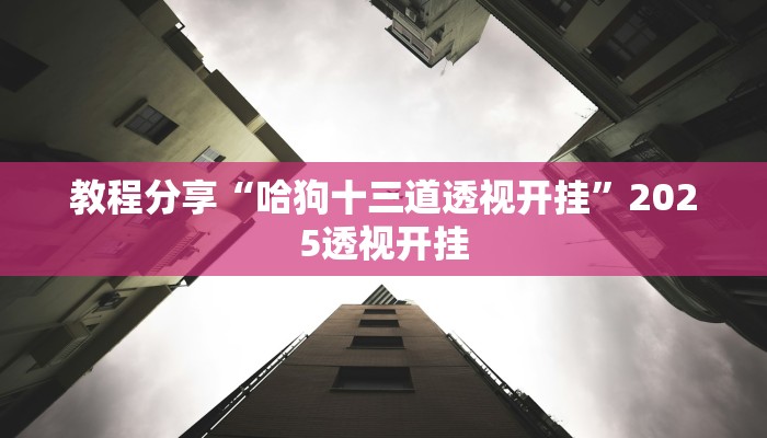 教程分享“哈狗十三道透视开挂”2025透视开挂