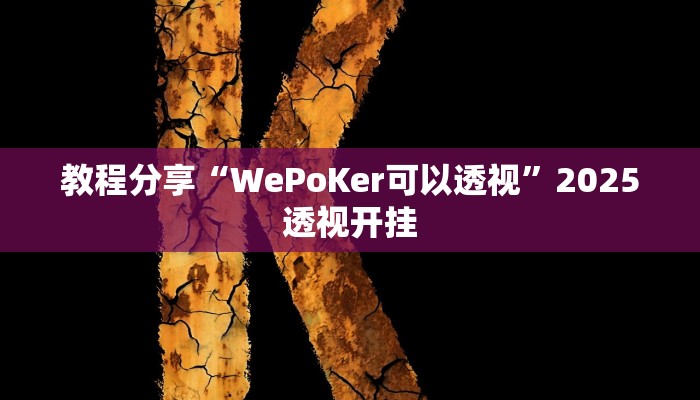 教程分享“WePoKer可以透视”2025透视开挂