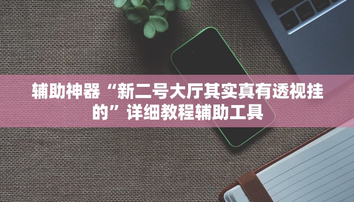 辅助神器“新二号大厅其实真有透视挂的”详细教程辅助工具