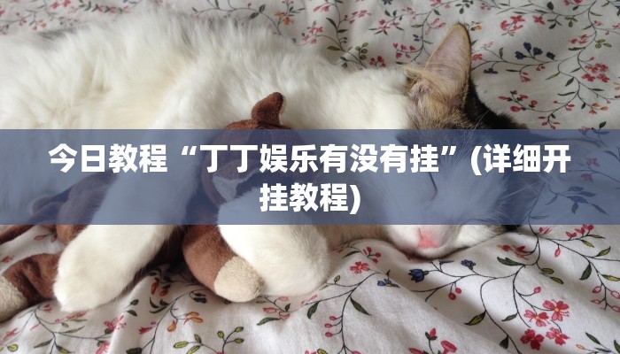 今日教程“丁丁娱乐有没有挂”(详细开挂教程)