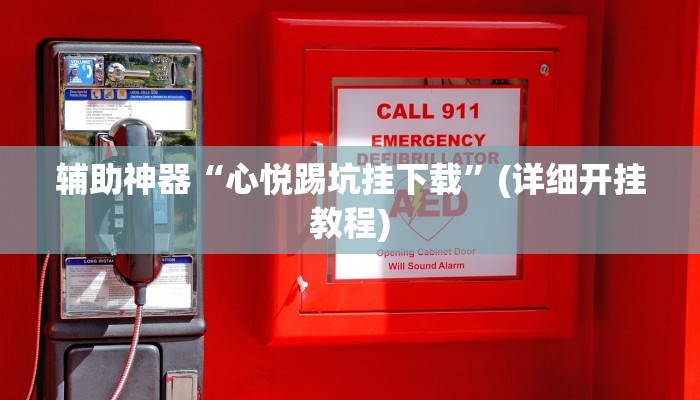 辅助开挂神器“新鸿狐大厅开挂辅助软件”其实确实有挂