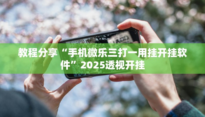 教程分享“手机微乐三打一用挂开挂软件”2025透视开挂
