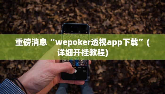 重磅消息“wepoker透视app下载”(详细开挂教程) 重磅消息“wepoker透视app下载”(详细开挂教程)