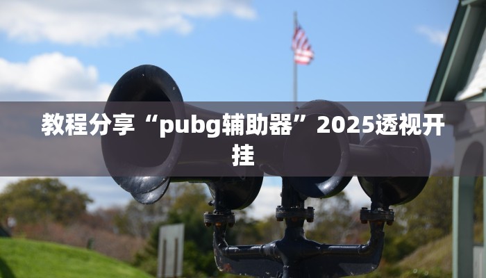 教程分享“pubg辅助器”2025透视开挂 教程分享“pubg辅助器”2025透视开挂