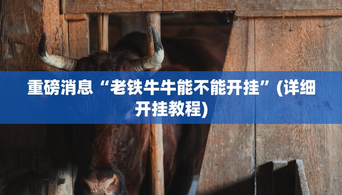 重磅消息“老铁牛牛能不能开挂”(详细开挂教程)