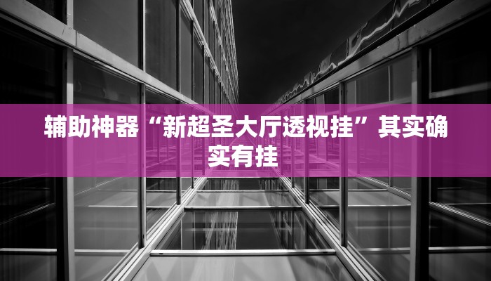 辅助神器“新超圣大厅透视挂”其实确实有挂 辅助神器“新超圣大厅透视挂”其实确实有挂